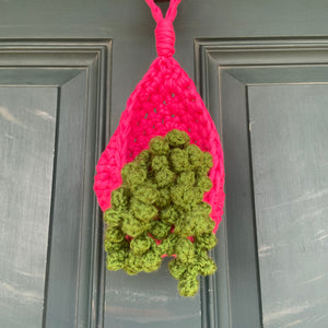 Hanging Basket, Small, Hot Pink