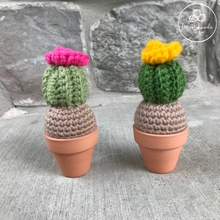 Load image into Gallery viewer, Cactus - Mini with Bloom