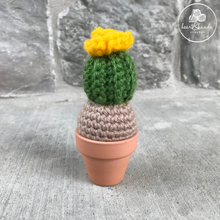 Load image into Gallery viewer, Cactus - Mini with Bloom