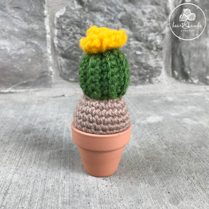 Cactus - Mini with Bloom